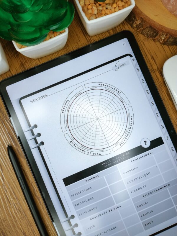 Roda da Vida Planner Digital Preto