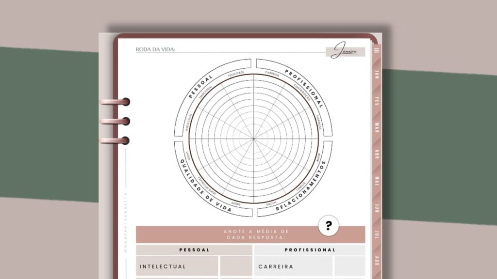 como usar a roda da vida