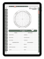 Planner-Digital-2025-roda-da-vida-miniatura